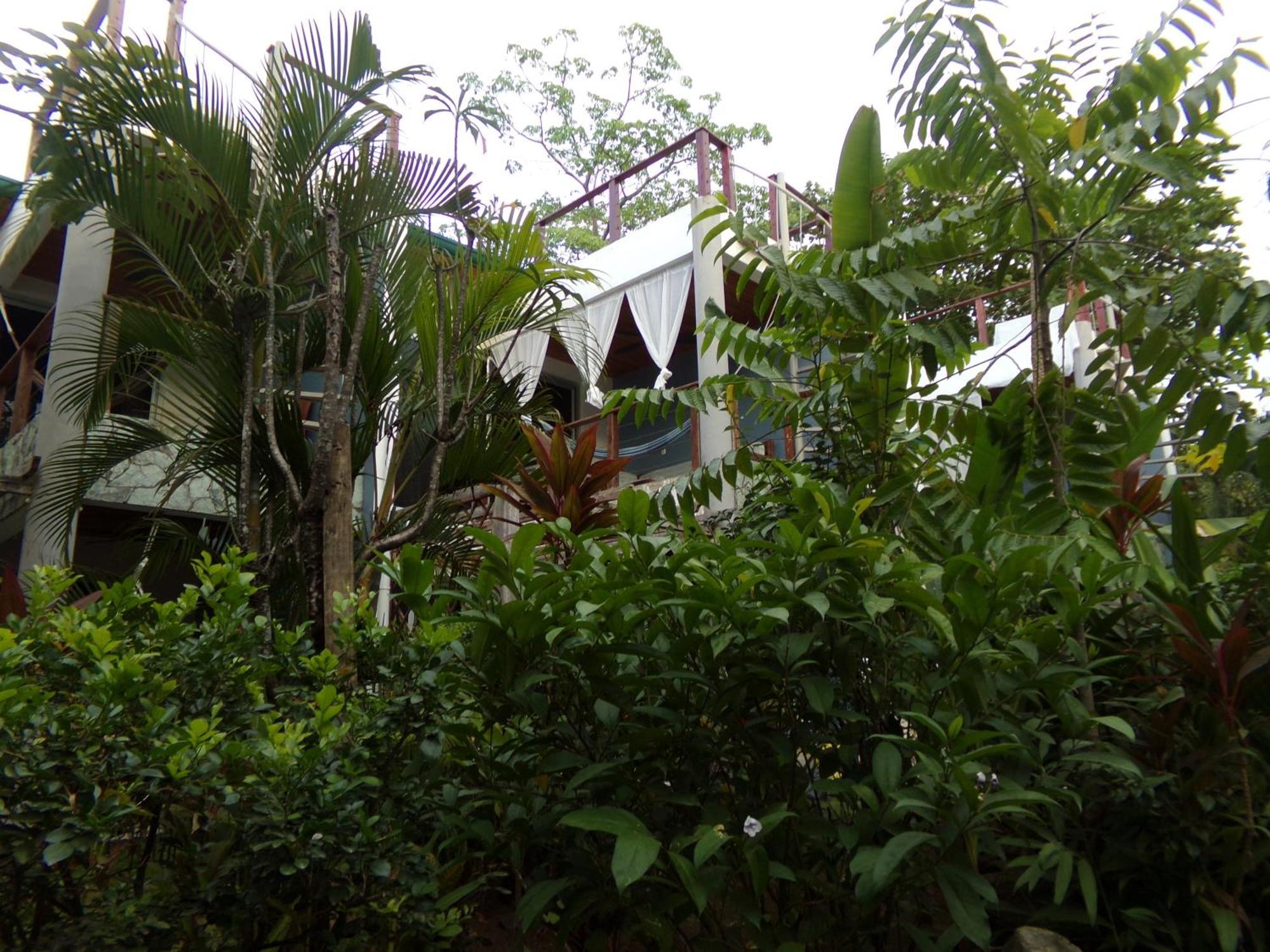 Iluminar Beachfront Suites Nosara Exterior foto